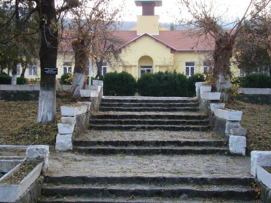 File:Parcul si casa de cultură din orașul Nucet , Bihor.jpg