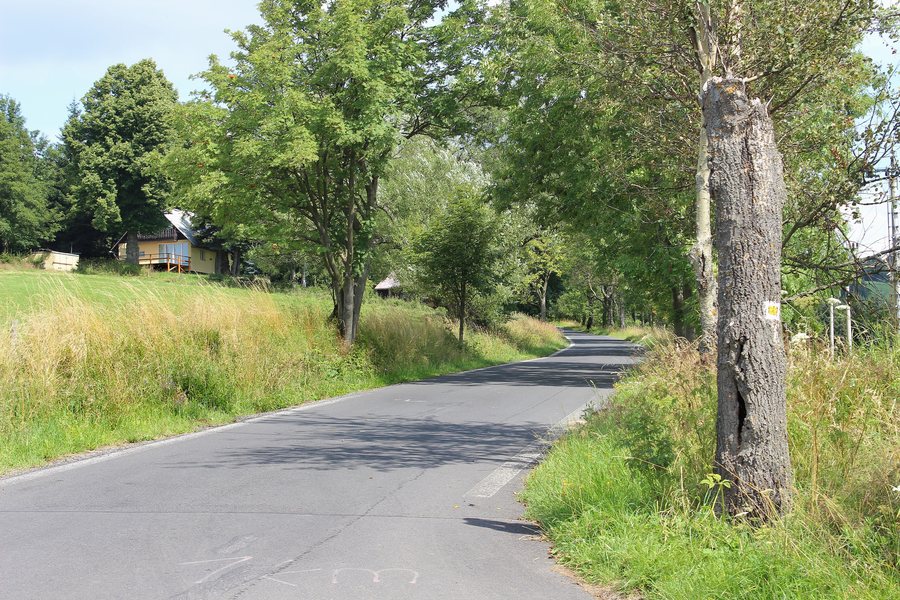 File:Měděnec, Mýtinka, road to Horní Halže.jpg