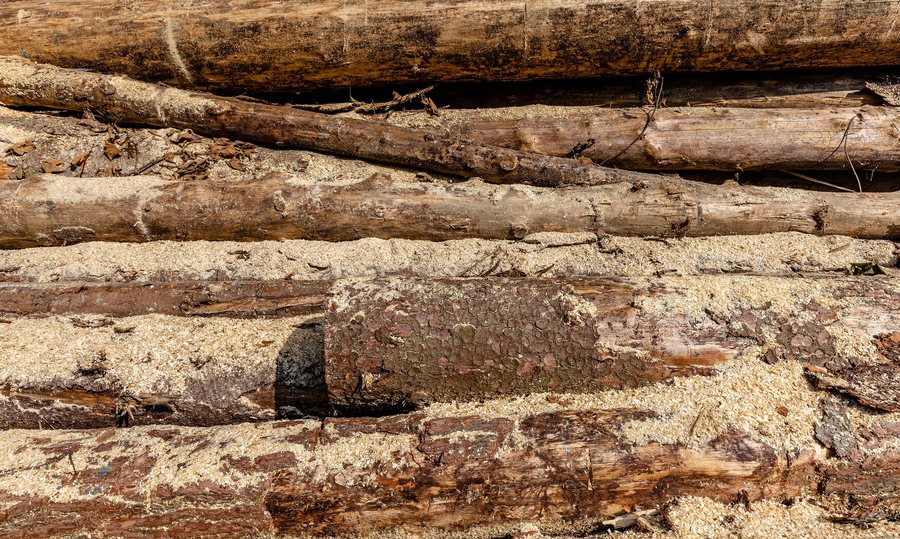 File:A pile of wood by Road III-4875 in Kychová (Huslenky), Vsetín District, Zlín Region, Czech Republic 02.jpg