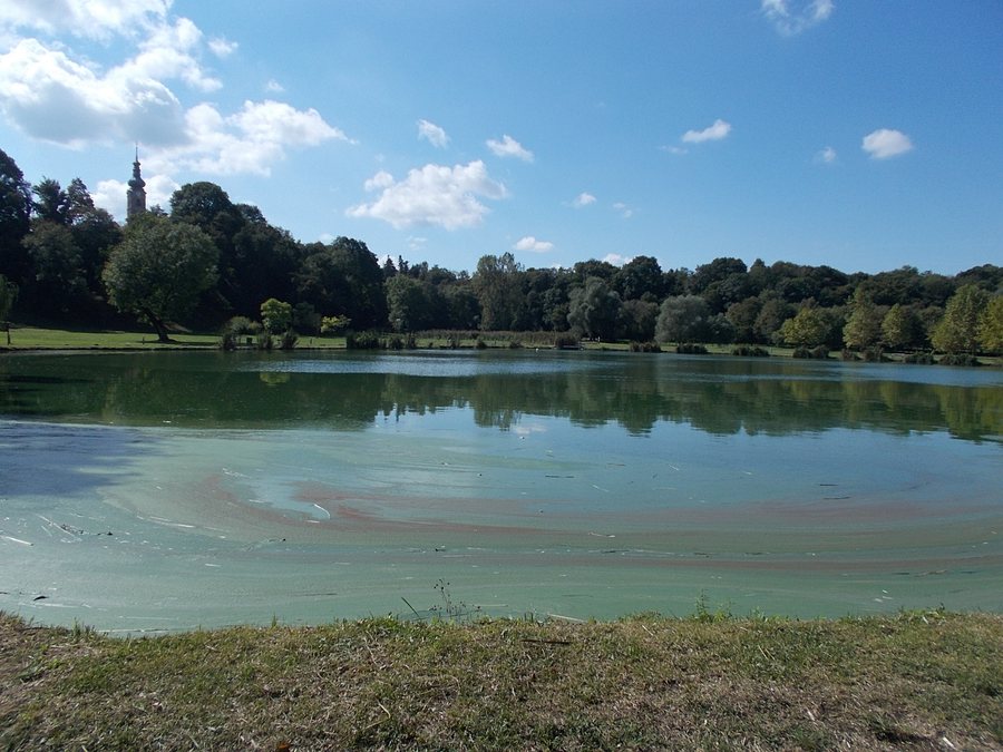 File:Großsee NO, Schlossgarten, 2024 Szécsény.jpg