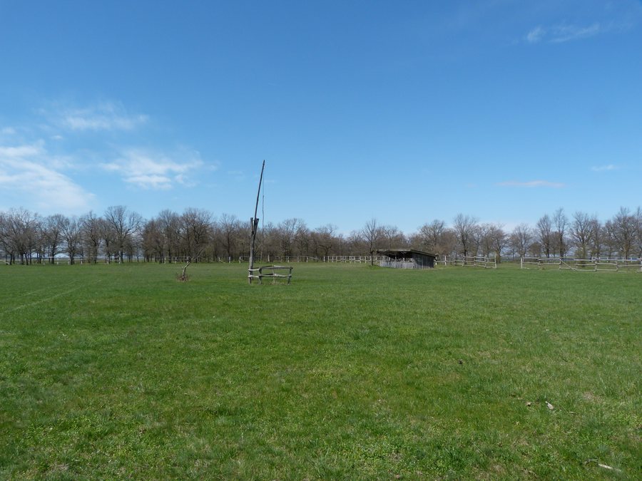 File:Nagyállás, Felső Kiskunsági Puszta - 2013.04.13 (1).JPG