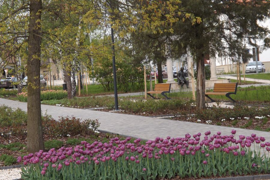 Kölcsey Ferenc monument and park detail, Mátészalka