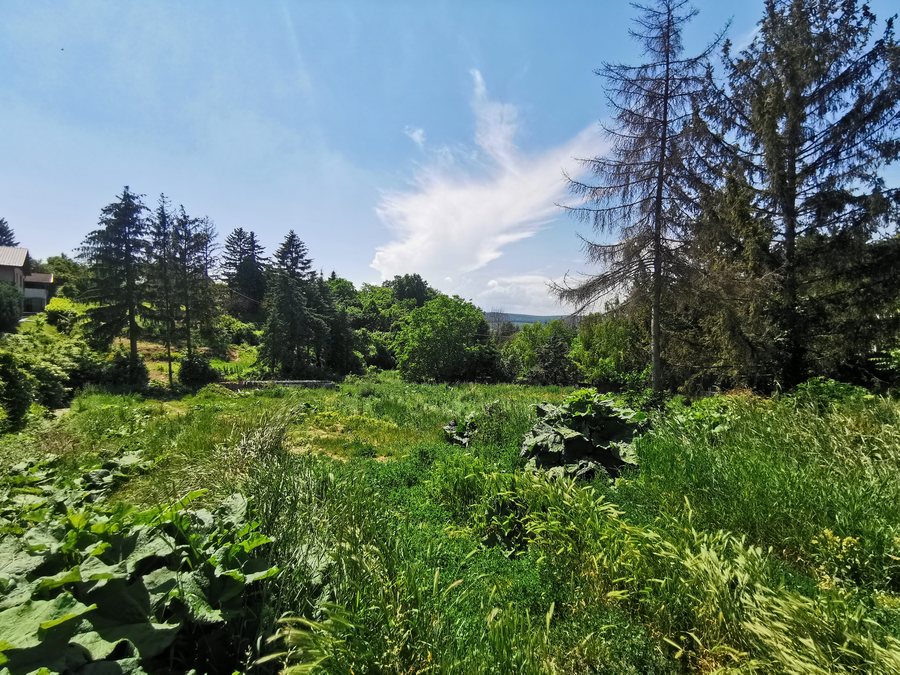 File:Makkosi út (Budakeszi) (45).jpg