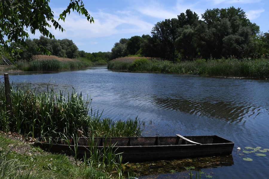 File:Nagybaracska, Ferenc-csatorna 2022 01.jpg