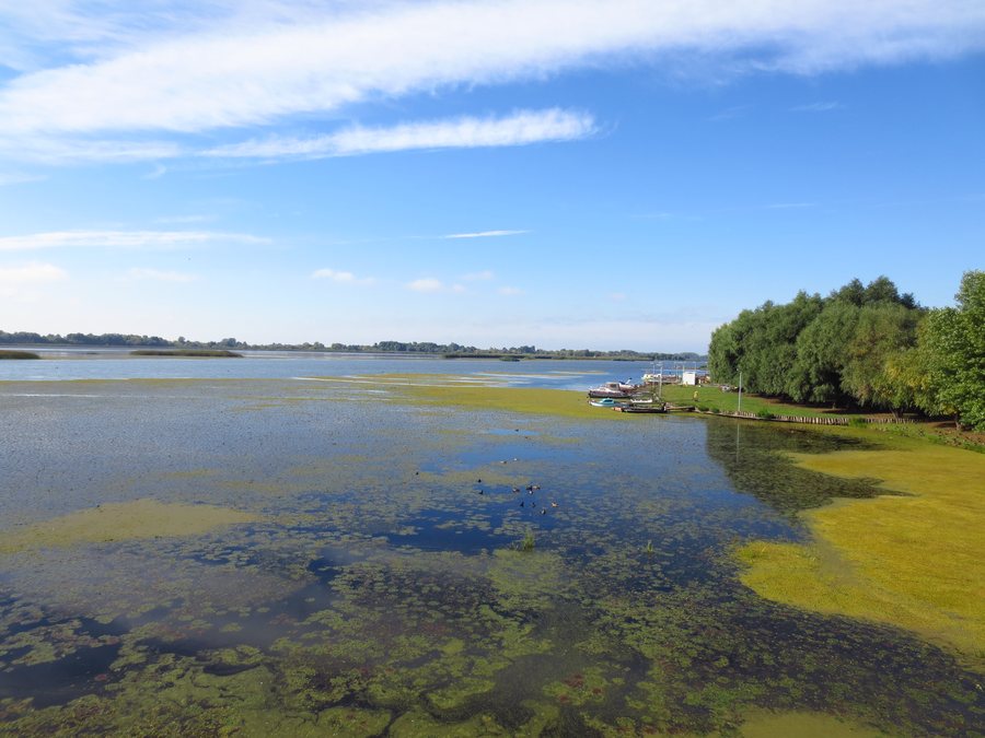 File:Tisza-tó, Poroszló, szabadstrand.jpg