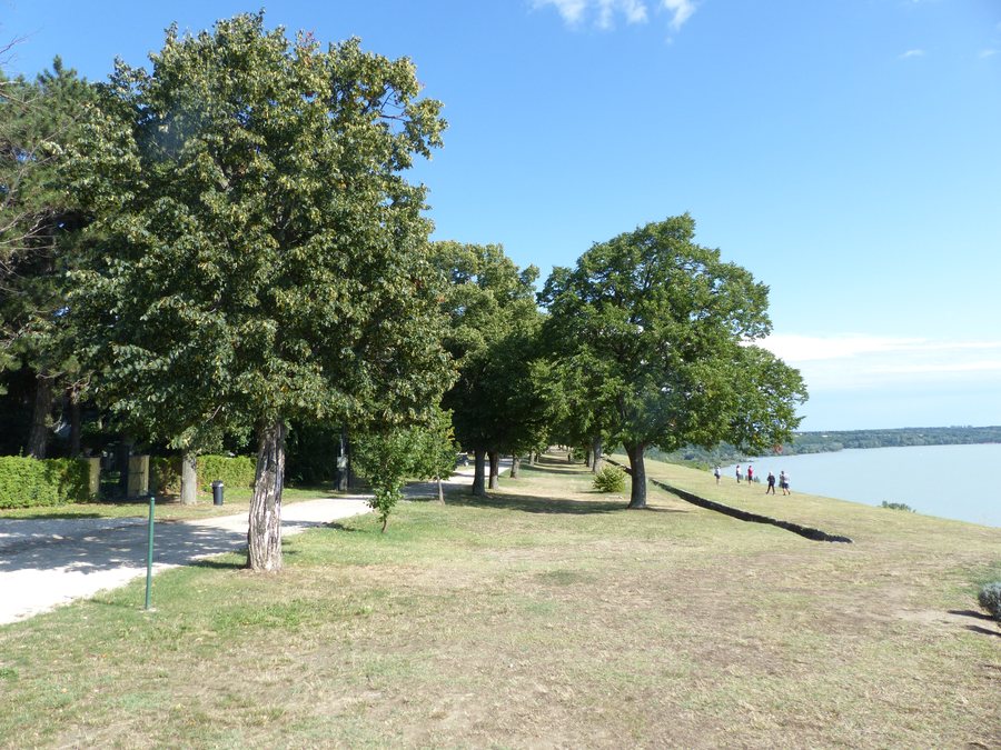 File:Akarattyai magaspart.jpg