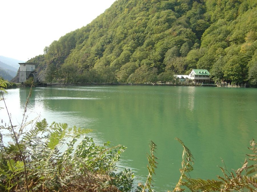Lake and wooded hillside near Sochi