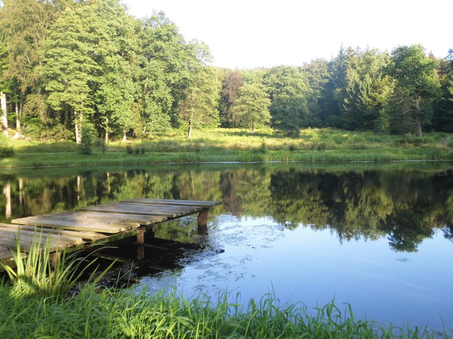 Woodland lake with a wooden pier in Poland