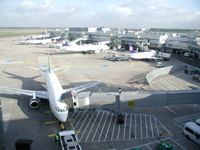 Austrian Airlines announced sales