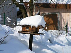snow, Serbia